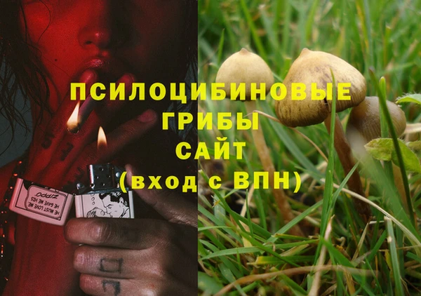 амф Осташков