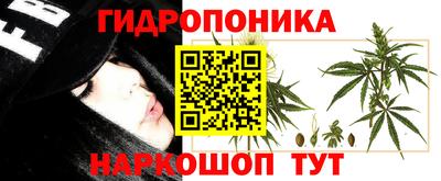 прущие крисы Заводоуковск