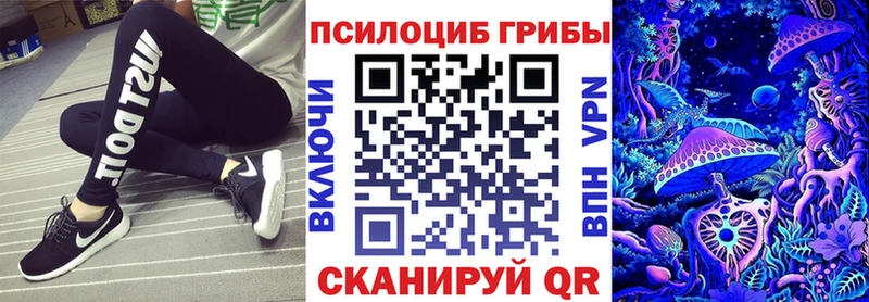 kraken ссылки  Кимры  Псилоцибиновые грибы Psilocybine cubensis 