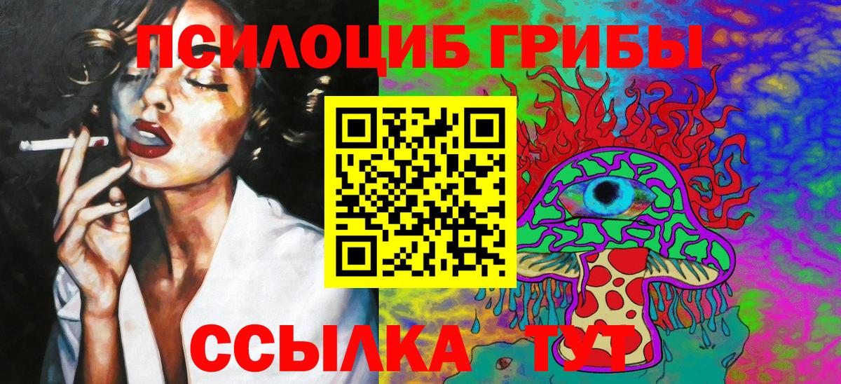 Галлюциногенные грибы MAGIC MUSHROOMS  Вход с VPN  Кимры 