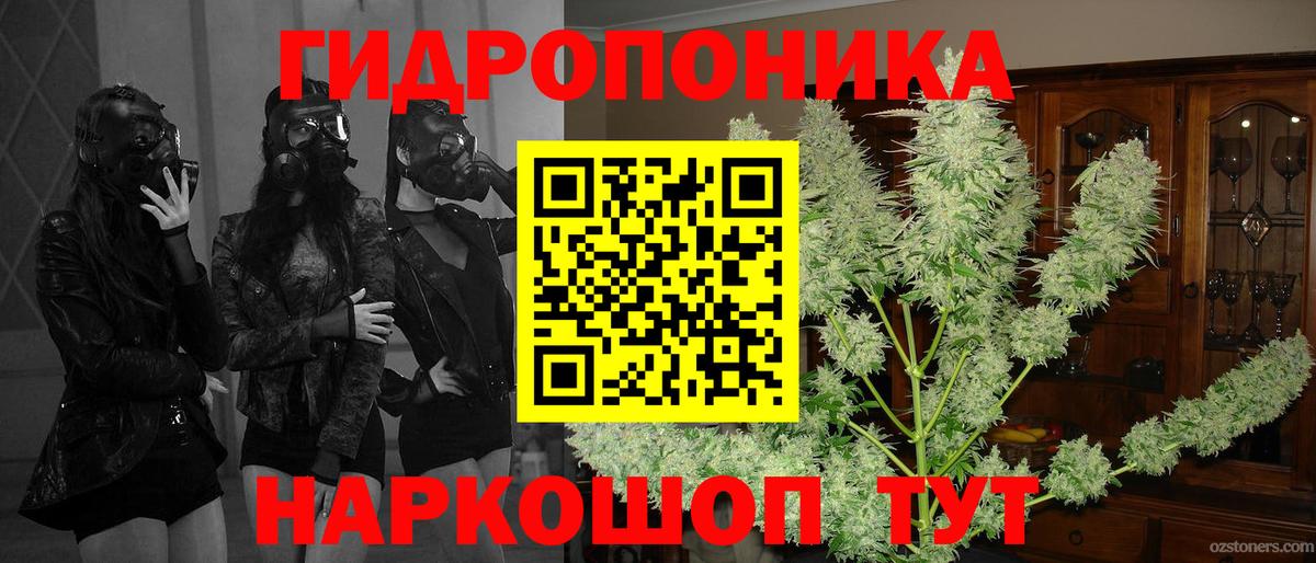 Гашиш Кимры